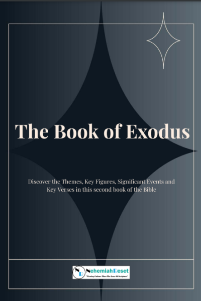 Book cover for 'The Book of Exodus' with subtitle about themes