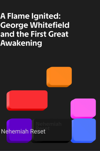 Cover image with the title 'A Flame Ignited