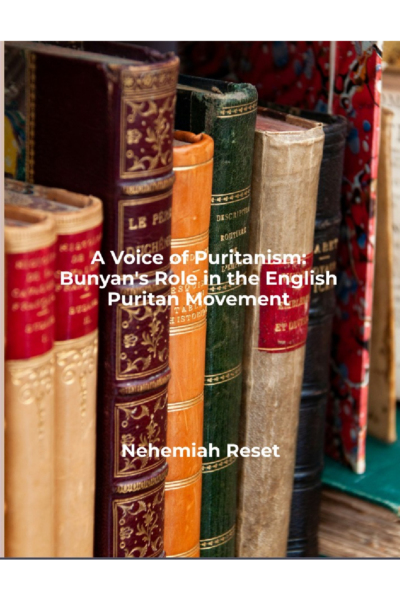 Book cover with colorful antique leather-bound volumes; title reads 'A Voice of Puritanism